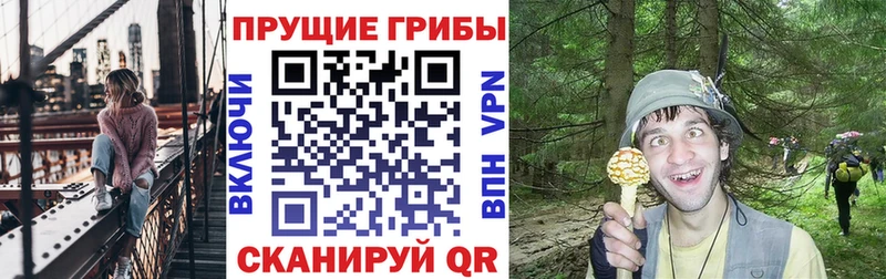ссылка на мегу сайт  Пикалёво  Галлюциногенные грибы GOLDEN TEACHER 